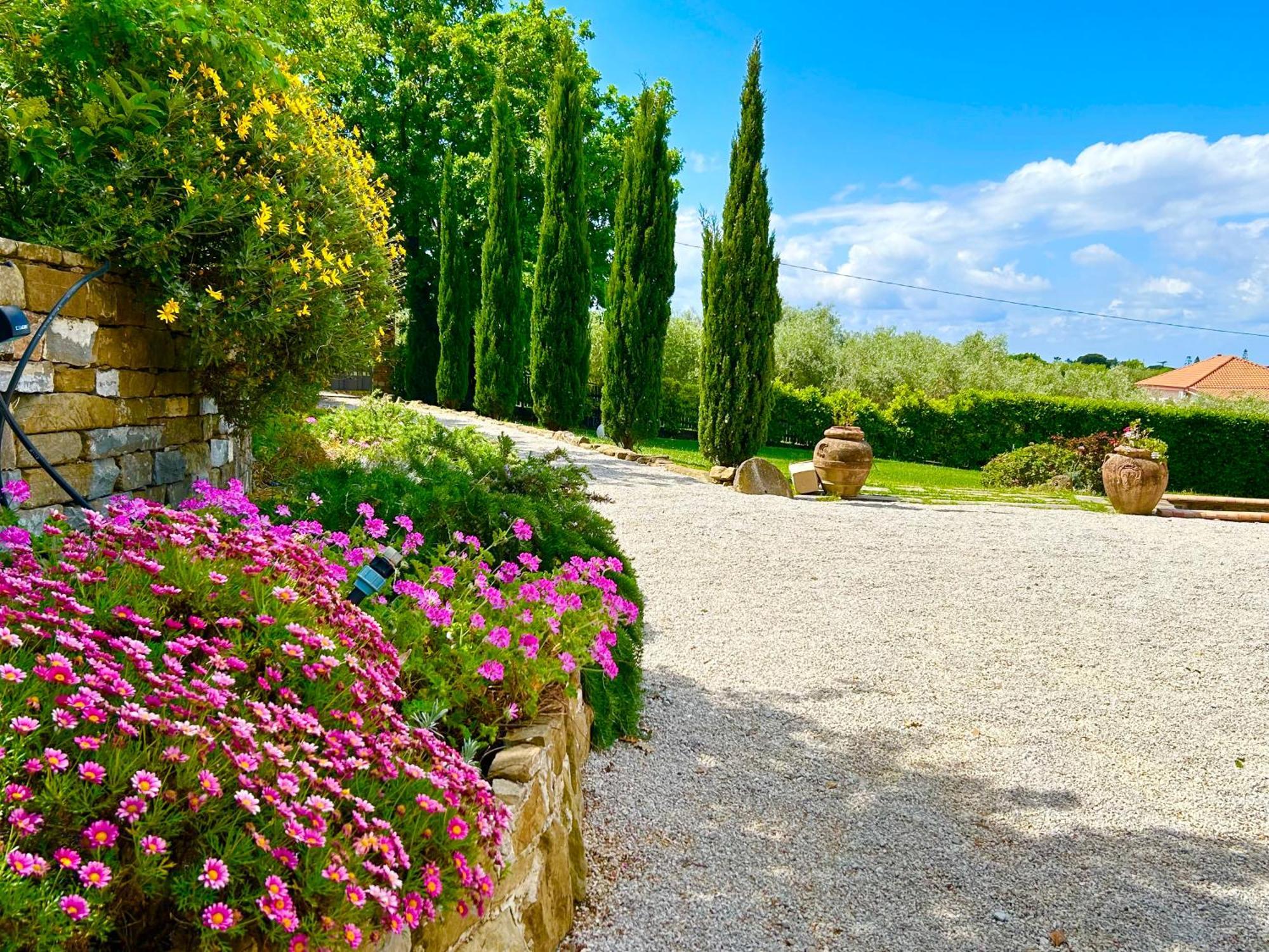 Casale Il Sauco Villa Santa Maria di Castellabate Phòng bức ảnh